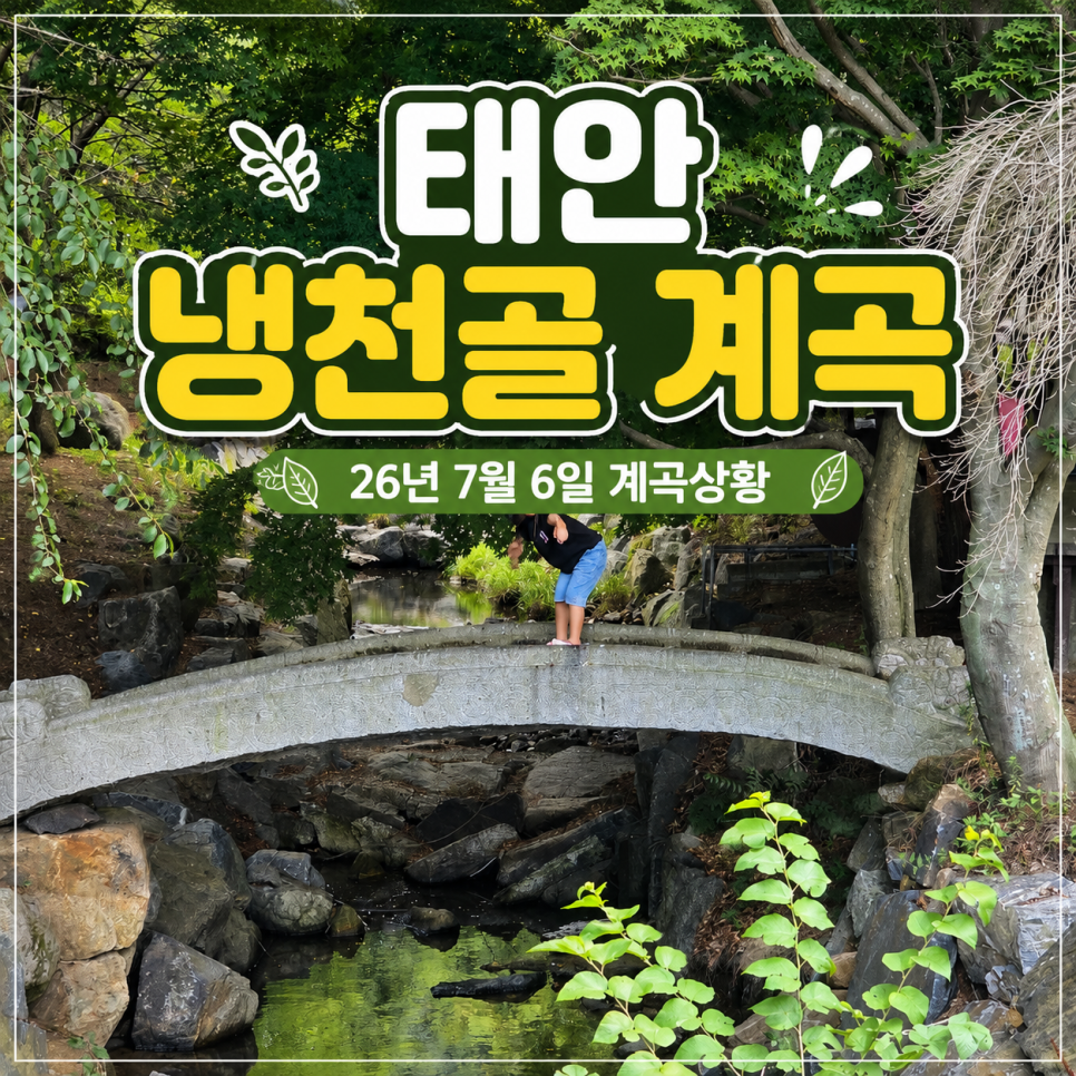 냉천골계곡 사진 1