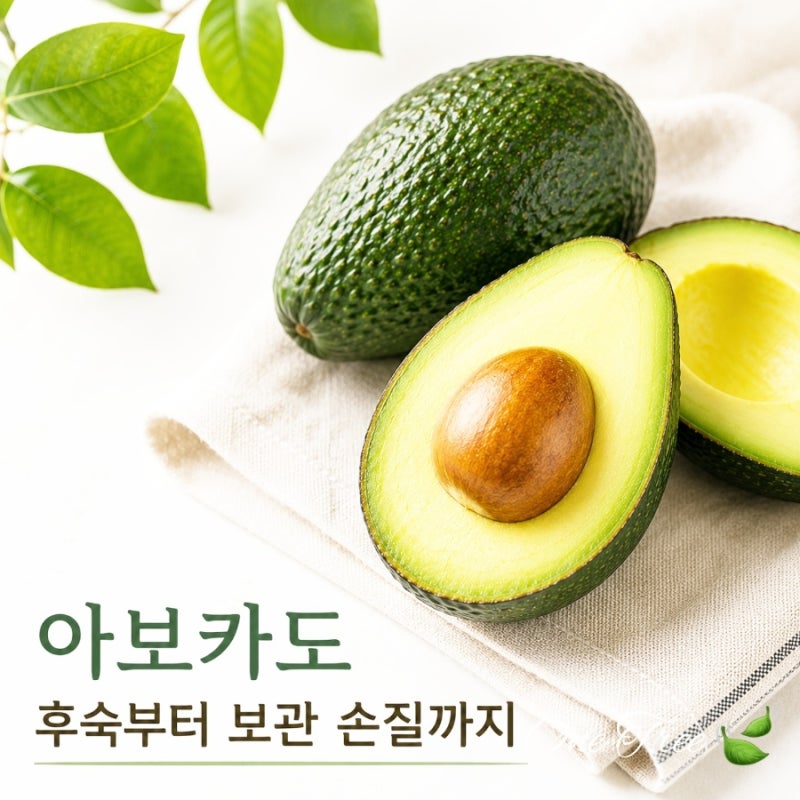 아보카도 후숙 계절별 온도 기간 빨리 익히는 방법 색 확인 냉장 냉동 보관 방법