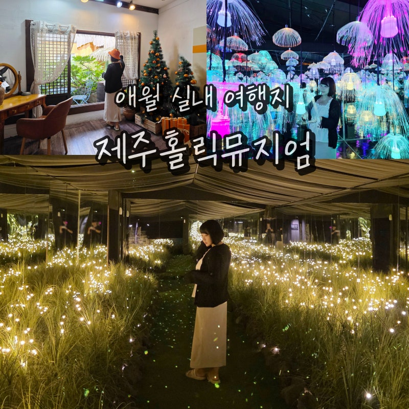 제주도 애월 가볼만한곳 제주 여름 여행 실내 관광지 제주홀릭뮤지엄
