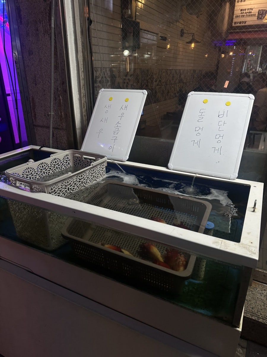 전복파는청년 사진 3