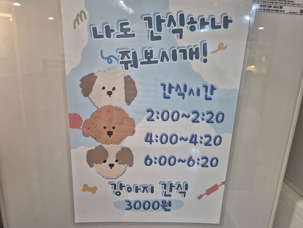 아이러브독도 사진 5
