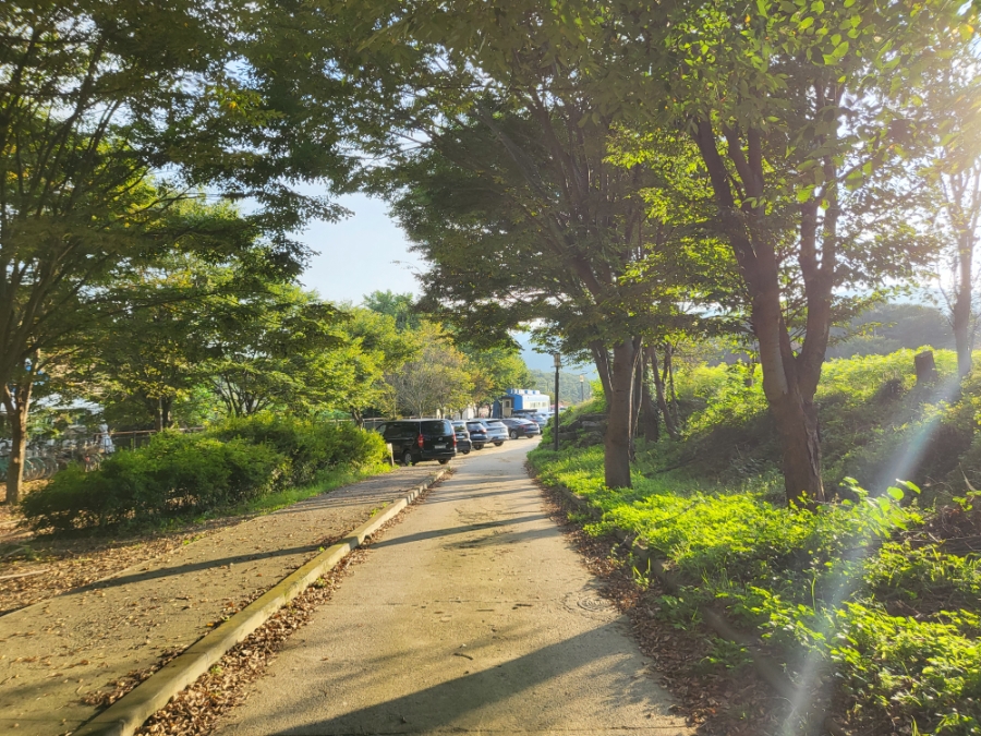 역전집 사진 4