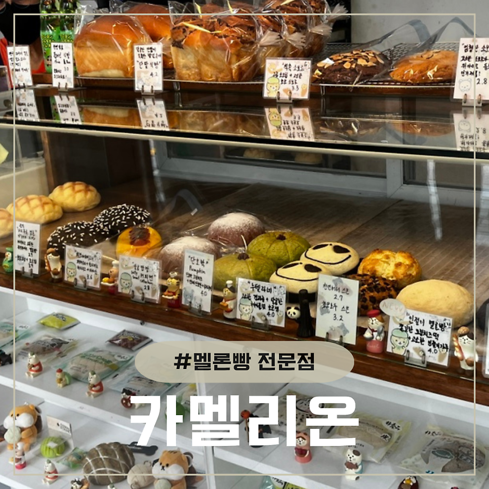 카멜리온 사진 1