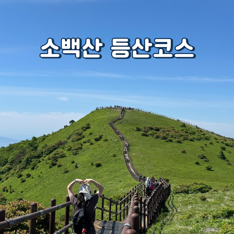 소백산 등산코스 어의곡~국망봉~비로봉~연화봉 산행 후기