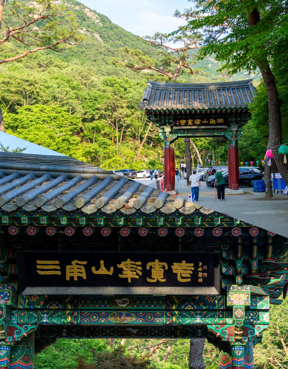 산자락 사진 4