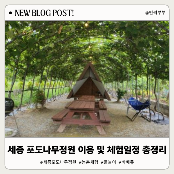 세종 포도나무정원 아이랑 농촌체험 주차 편의시설 체험일정 총정리!