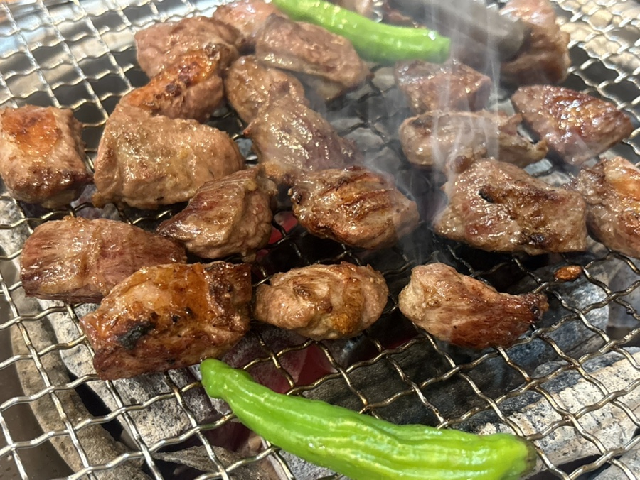 가야갈매기 사진 1