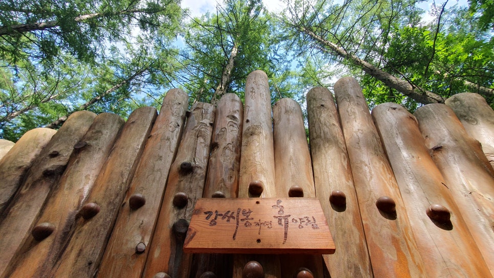 강씨봉자연휴양림 사진 1