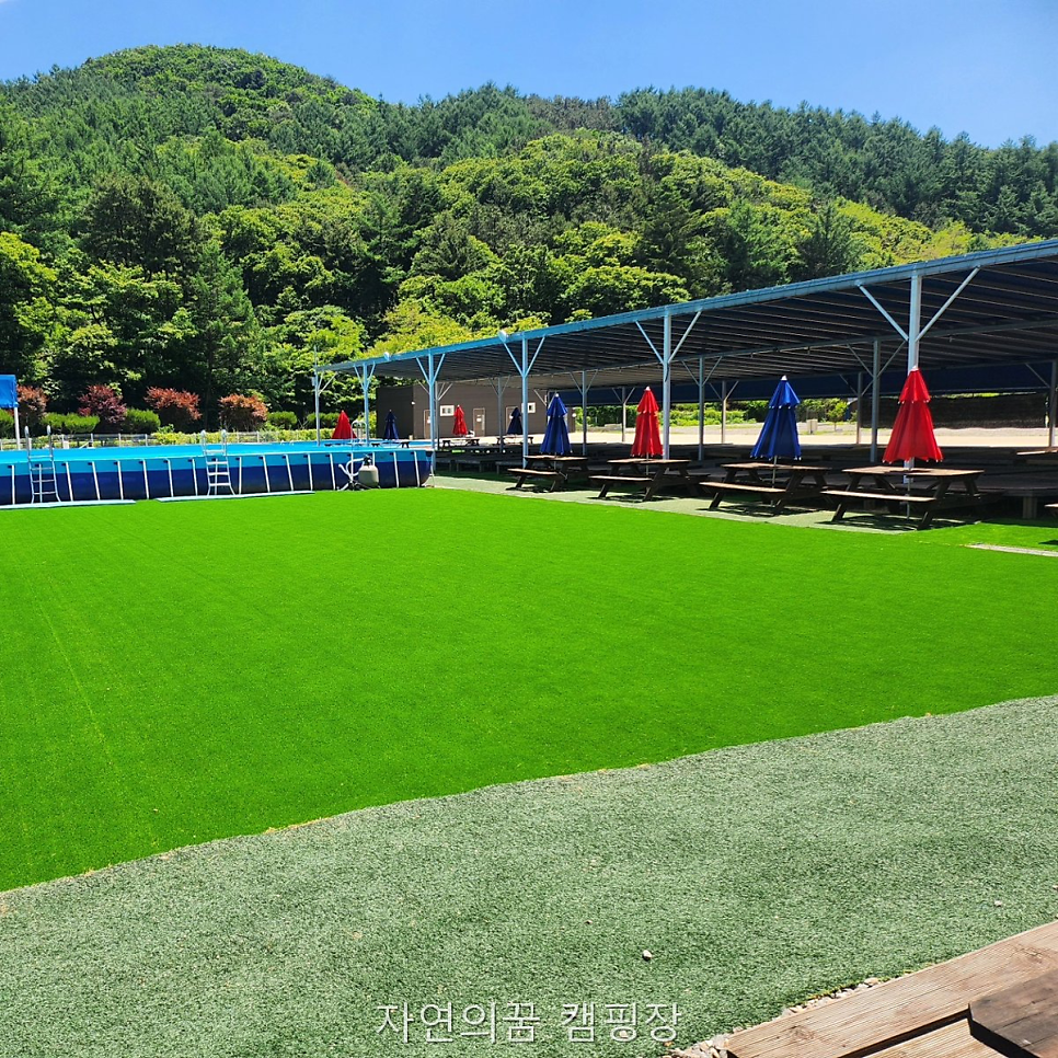 자연의꿈캠핑장 사진 1