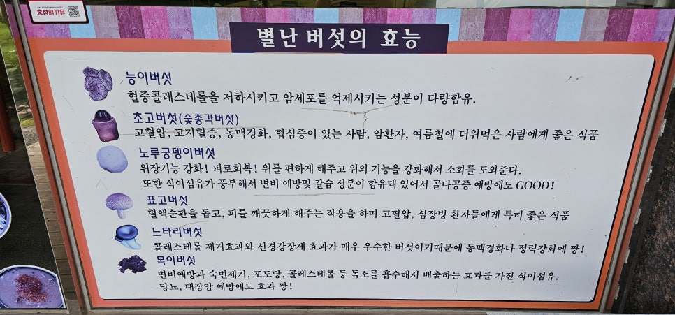 별난버섯집 사진 2