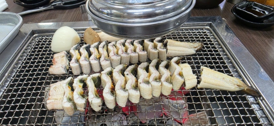 힘센장어 사진 5