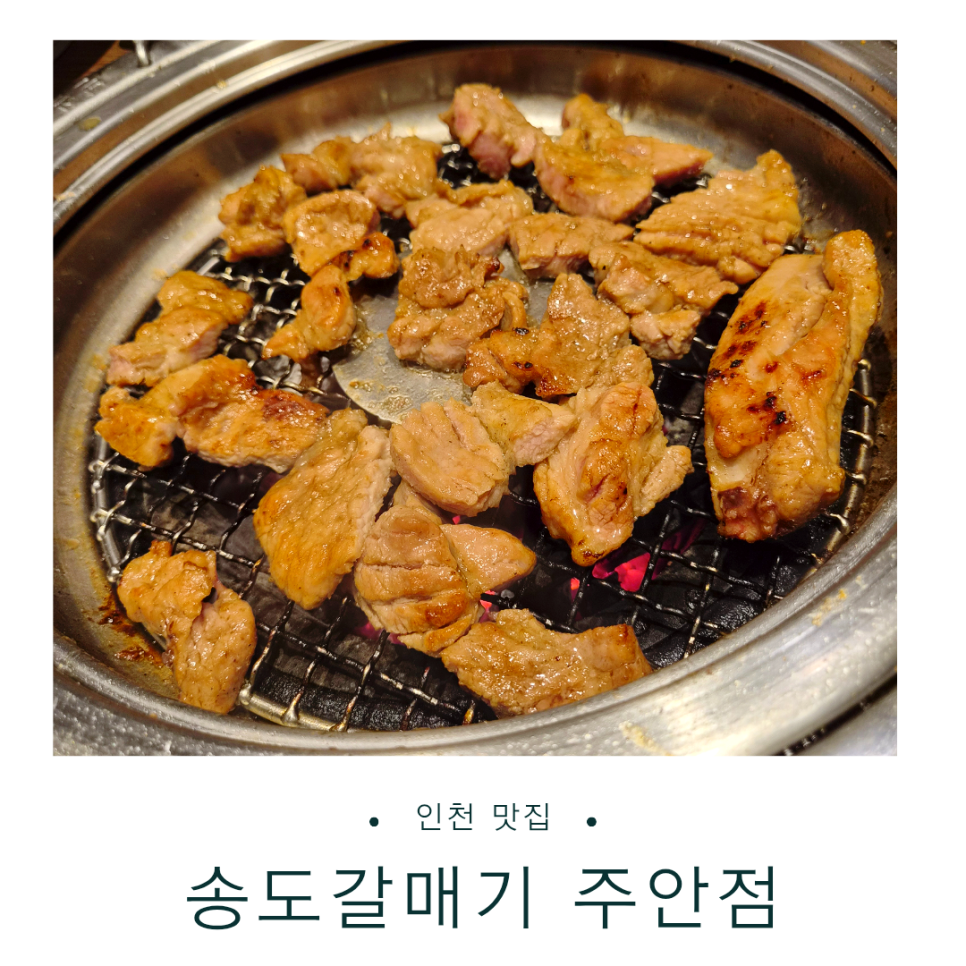 송도갈매기 주안점 사진 1