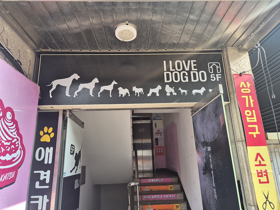 아이러브독도 사진 2