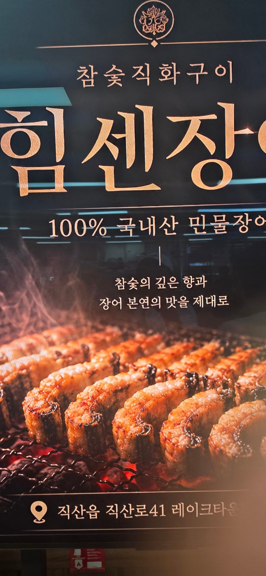 힘센장어 사진 3