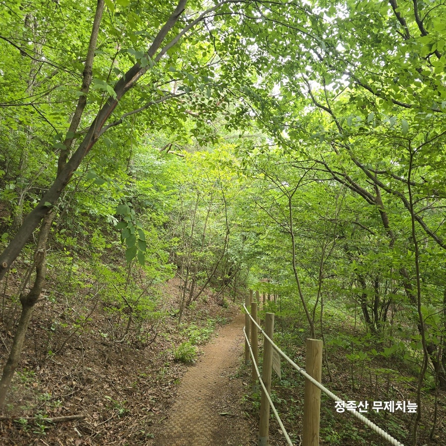 무제치 사진 5