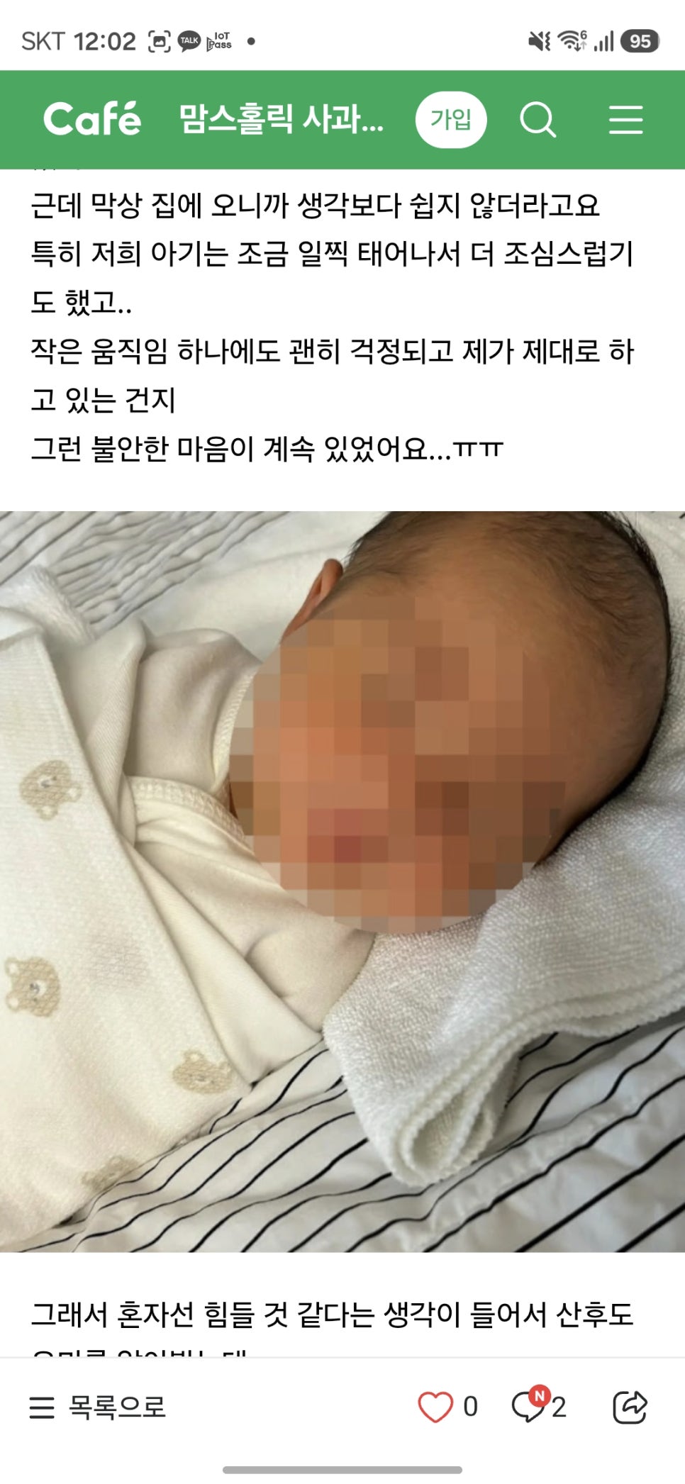 사과나무 사진 1