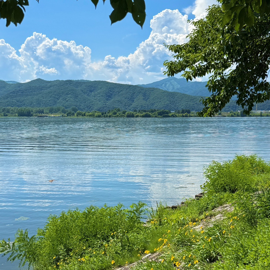 리버레인카페 사진 1
