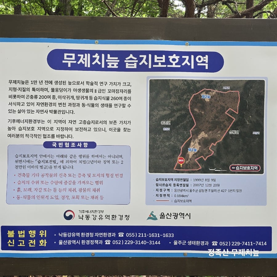 무제치 사진 4