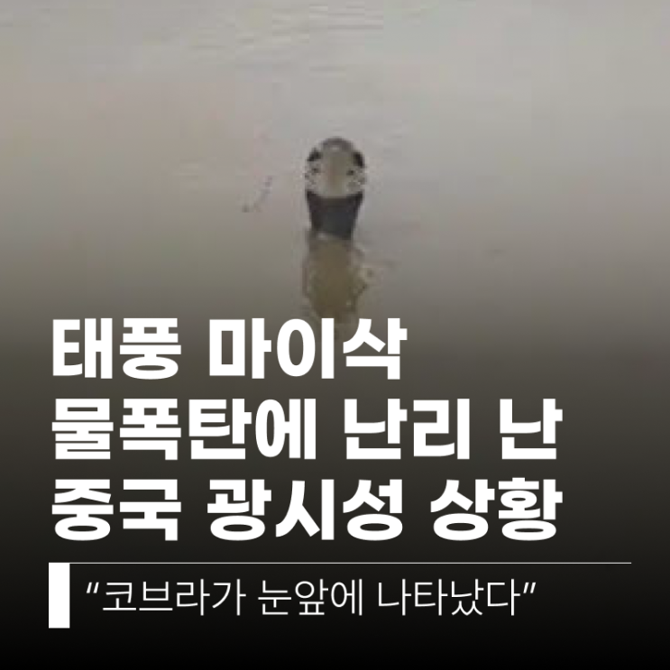 나타났다”… <b>태풍</b> 마이삭 물폭탄에 난리 난 <b>중국</b> 광시성 상황