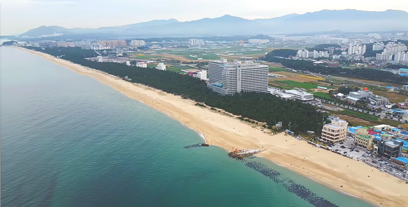 [강릉 여행] 경포대 아래 여기! 나만 알고 싶은 힐링 명소, 소나무 숲이 아름다운 '송정해변' 2....