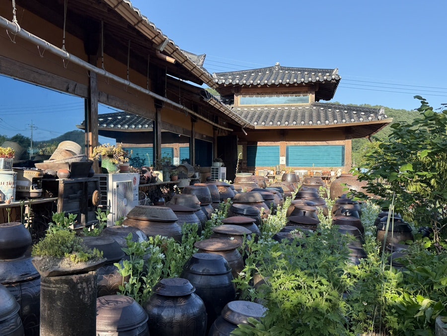 행복한토종닭 사진 3