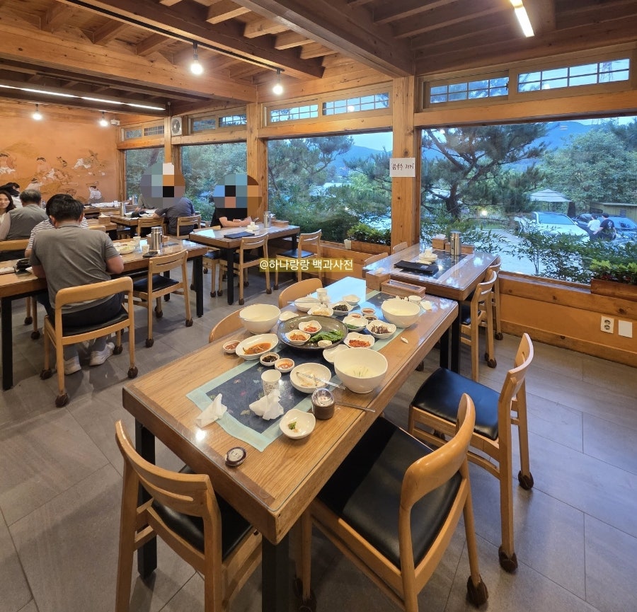 자연콩 사진 6