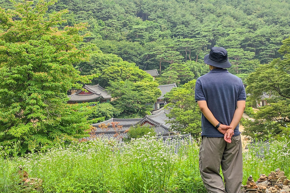 서해랑길 101코스 사진 3