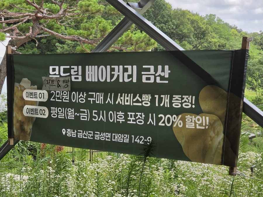 무드림 베이커리카페 금산 사진 6