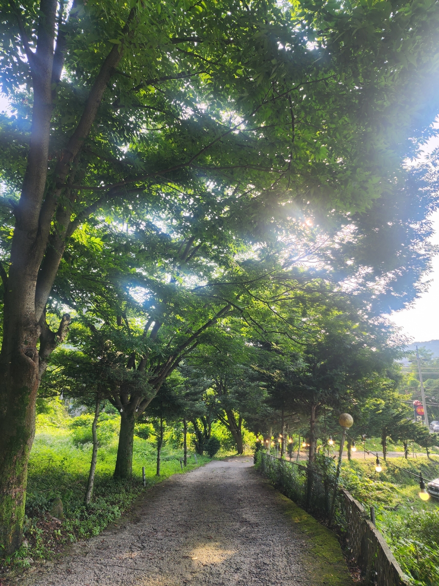 쏭바베큐 양평본점 사진 2