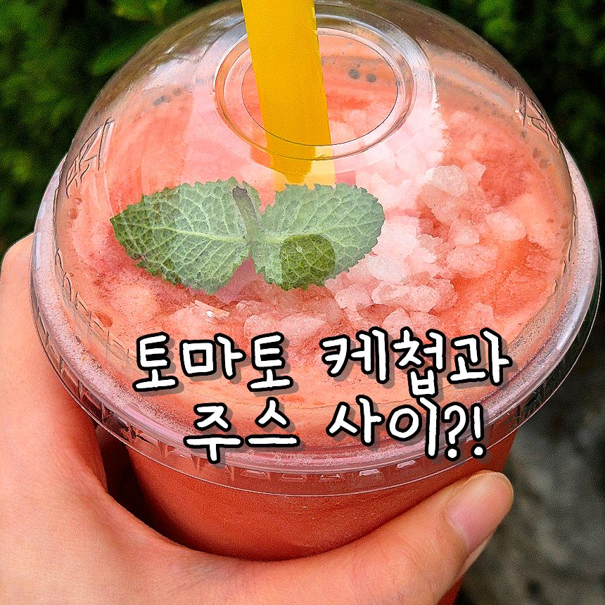 토마토 사진 2