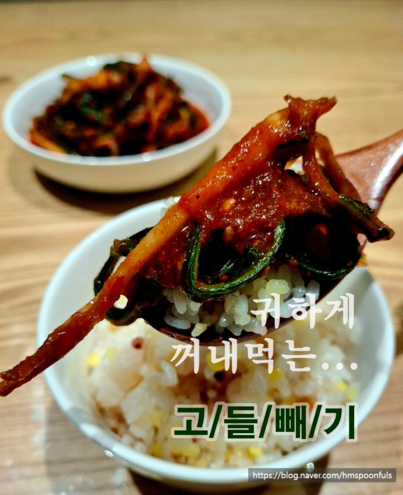 [냠톡] 고들빼기 김치 담그는 법, 귀하게 꺼내 먹는 밥도둑