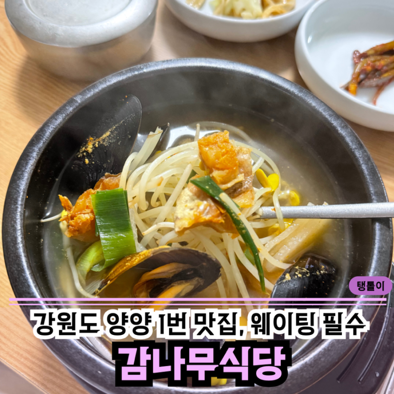 양양 | 감나무식당 오픈런 가치있을까? 주말 방문 웨이팅 소요시간, 시간 단축했던 실제후기