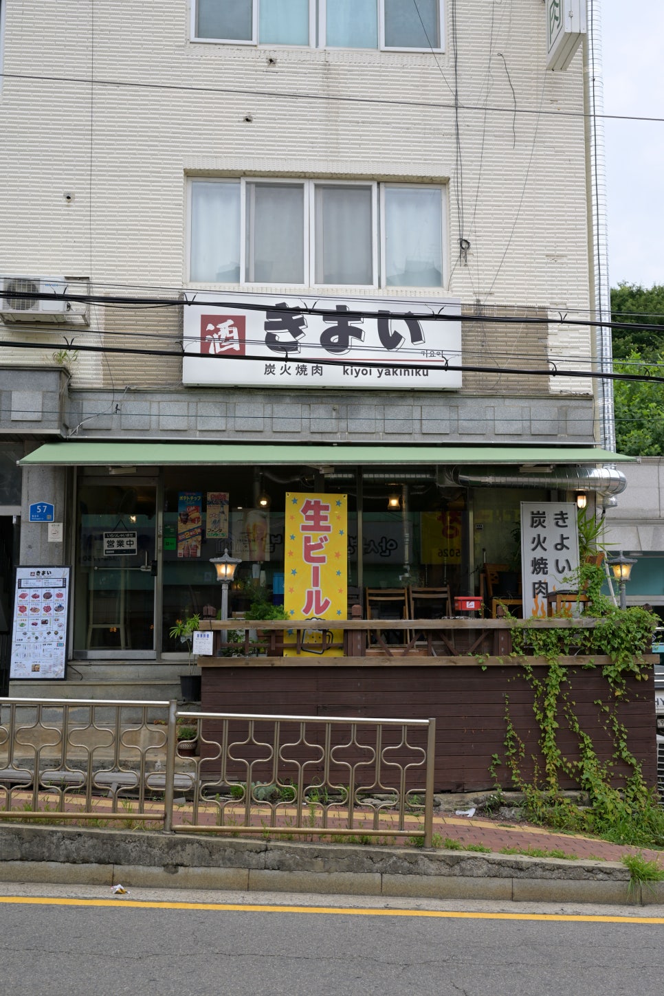 키요이 사진 4
