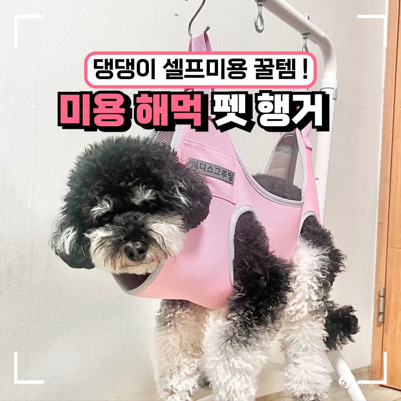 강아지 미용 해먹 거치대 추천, 헤디스그루밍으로 집에서 강아지 셀프미용 후기