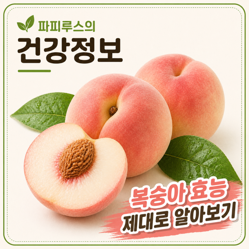 복숭아 효능 제대로 알아보기｜부작용, 칼로리, 껍질 효능까지