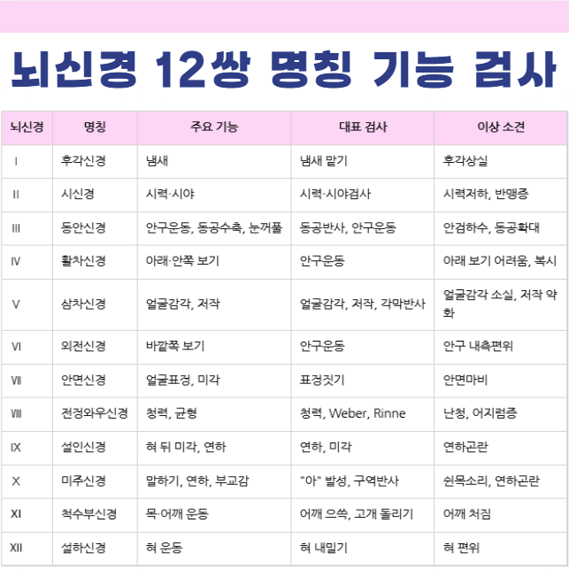 뇌신경 12쌍 표 명칭 기능 형태 검사방법 이상소견