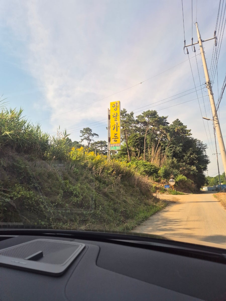 양달 사진 3