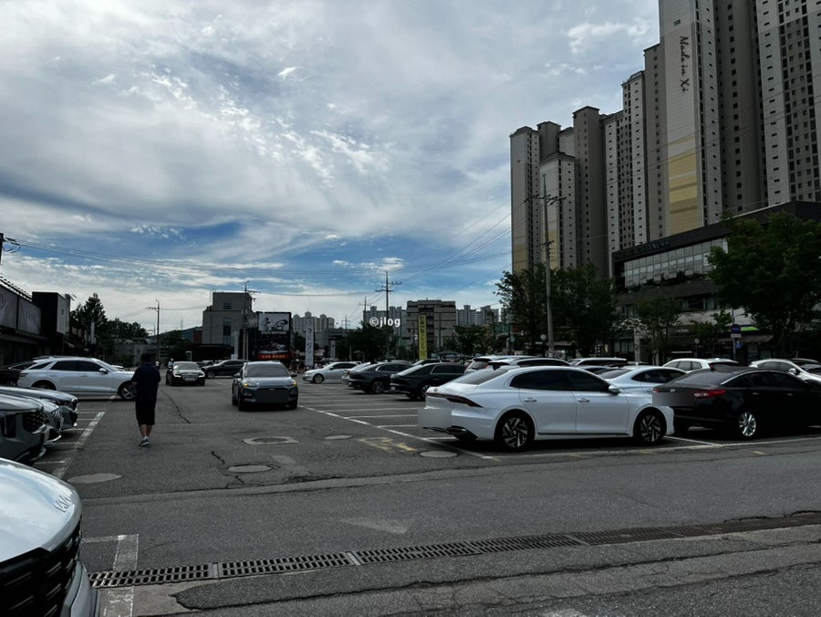 산으로간고등어 사진 5