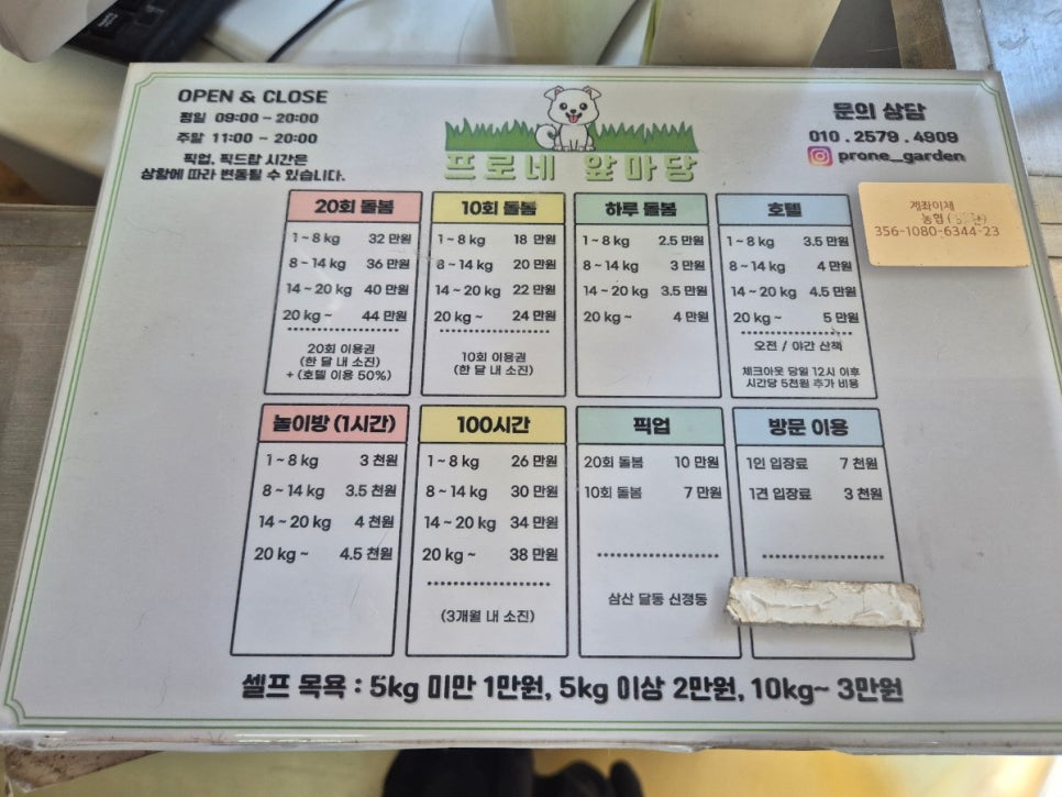 프로네앞마당 사진 4