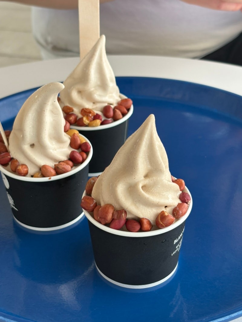 우도 반나절 코스, 아이 부모님 만족한 가족여행(맛집&카페,전기차)