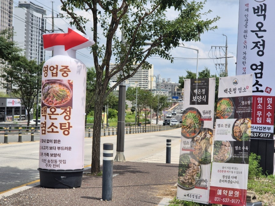 백온정염소 사진 3
