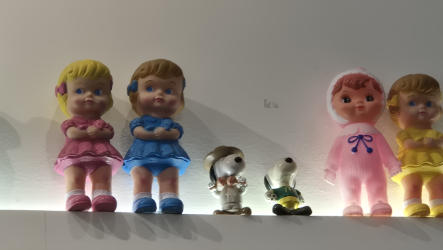 돈박 사진 4