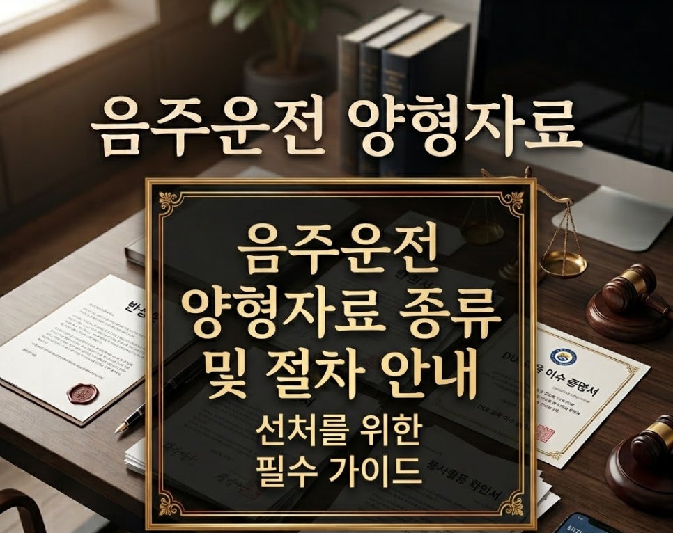 음주운전 양형자료 어떤게 있을까요? 관련 사진