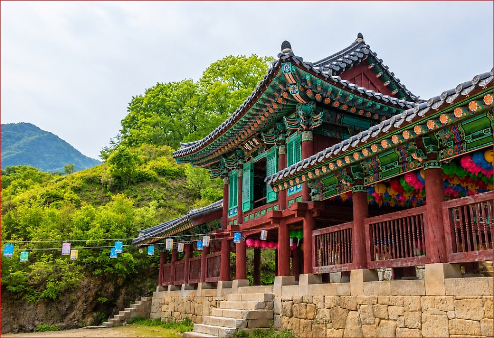 거북이카페 사진 5