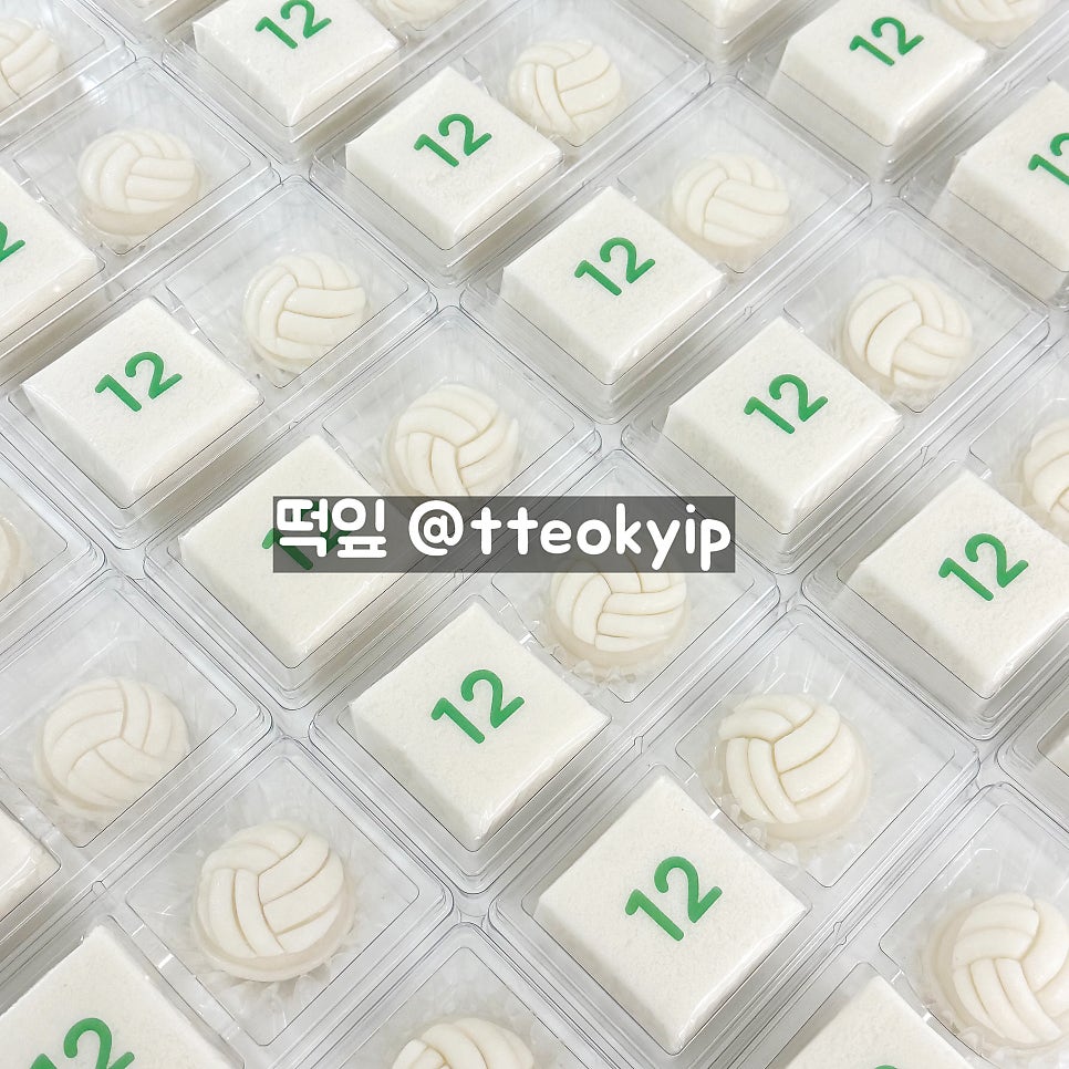 떡잎 사진 5