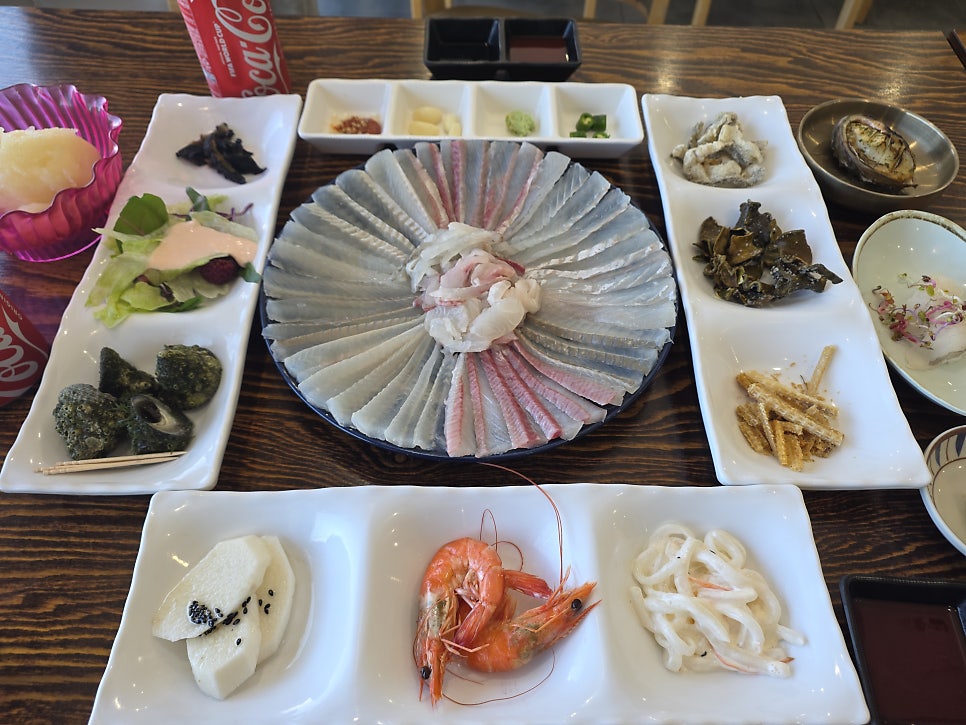 칠암거북 사진 5