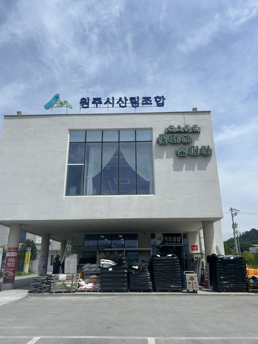 Kkotpidasuppida photo 2