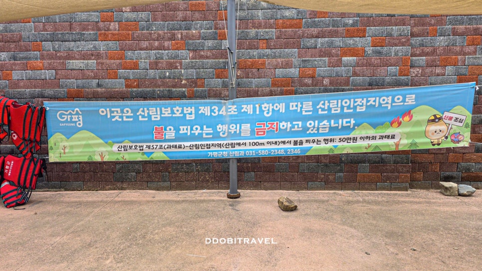 소프 사진 4