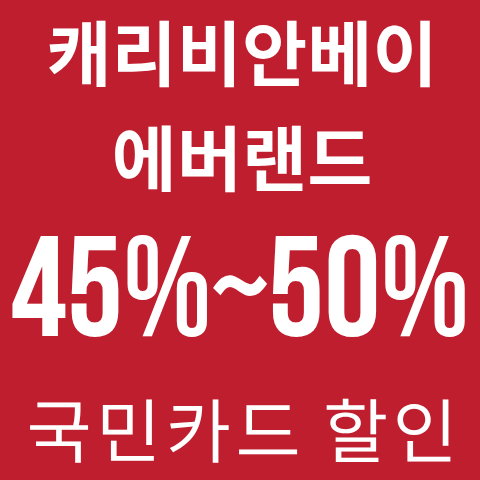 캐리비안베이,에버랜드 반값할인! 국민카드로 여름보내기