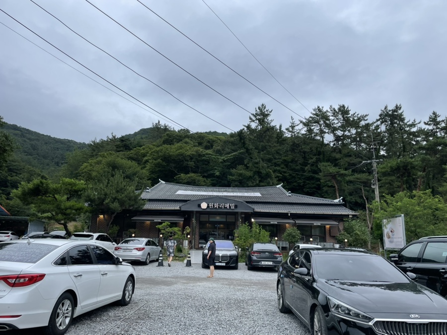 원화리메밀 사진 1